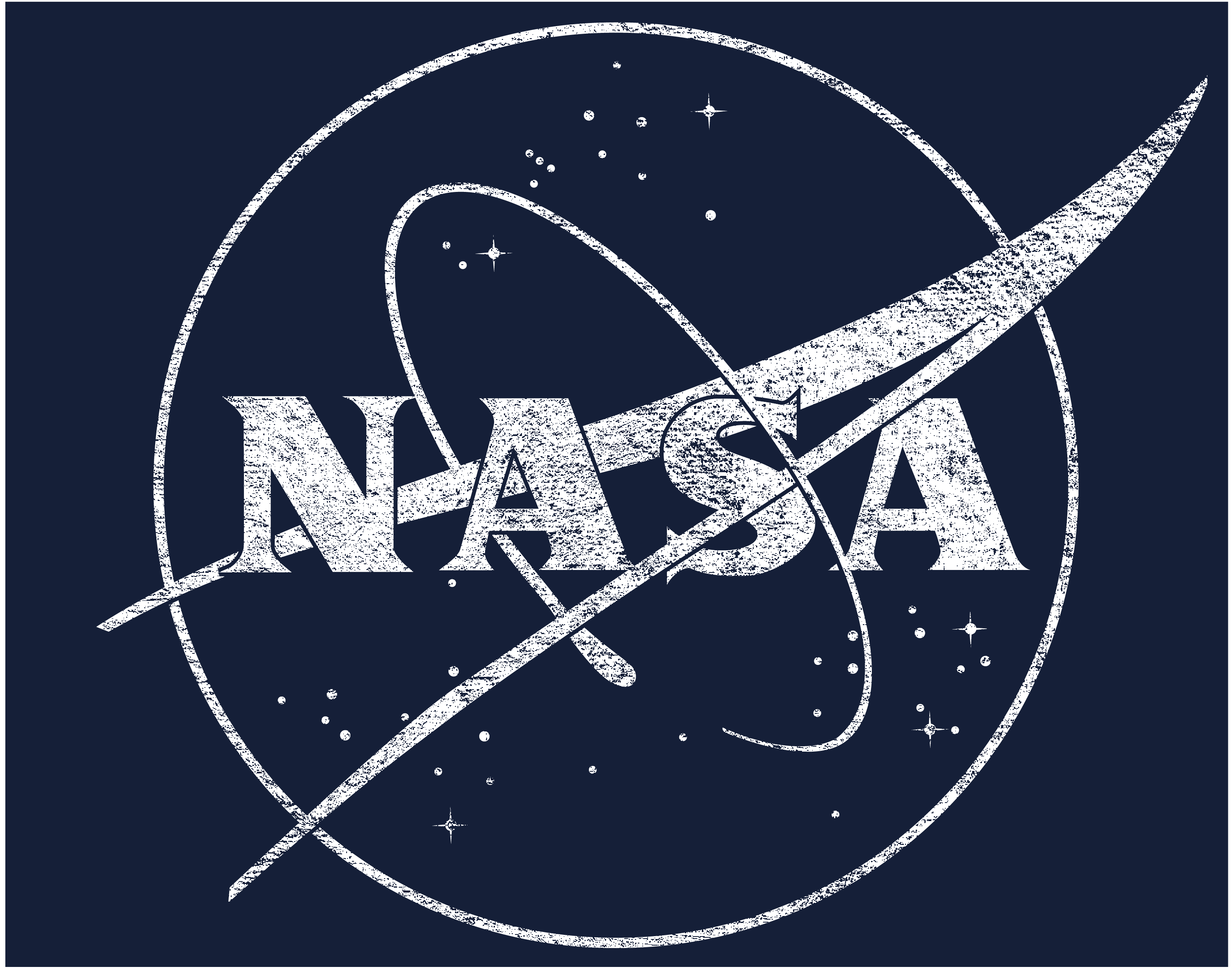 NASA Meatball Whitewash Logo T-Shirt