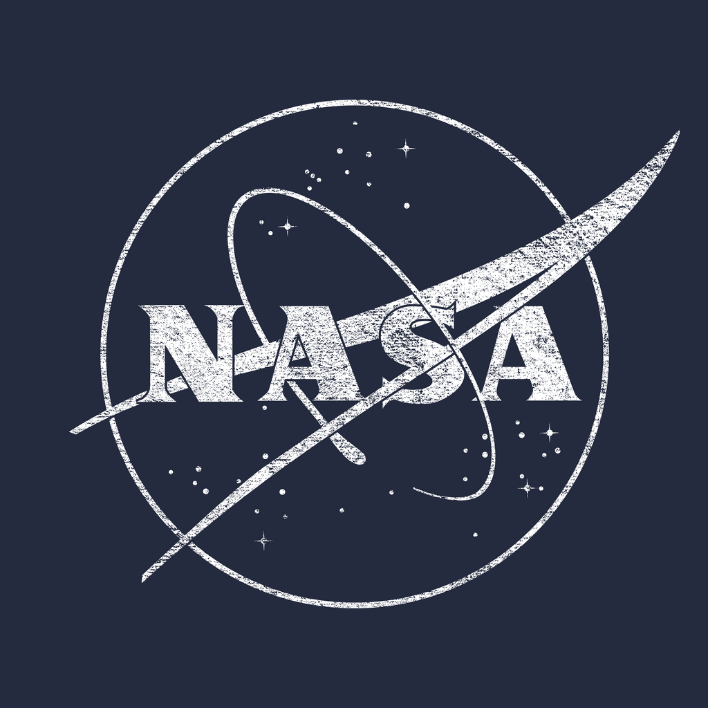 NASA Meatball Whitewash Logo T-Shirt