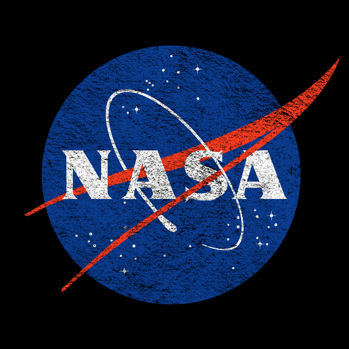 NASA Distressed Color Logo Tee